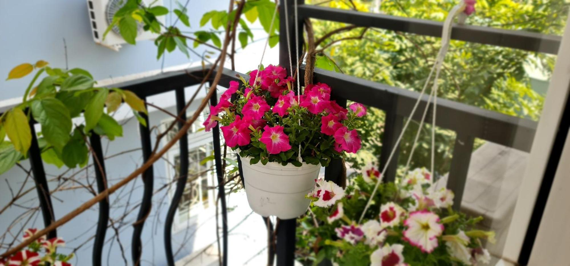 Spring Light Home Thành Pho Ho Chí Minh Esterno foto
